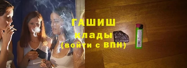 соль ск Новозыбков