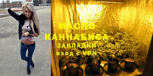 соль ск Новозыбков