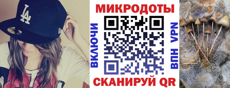 Псилоцибиновые грибы прущие грибы Касли