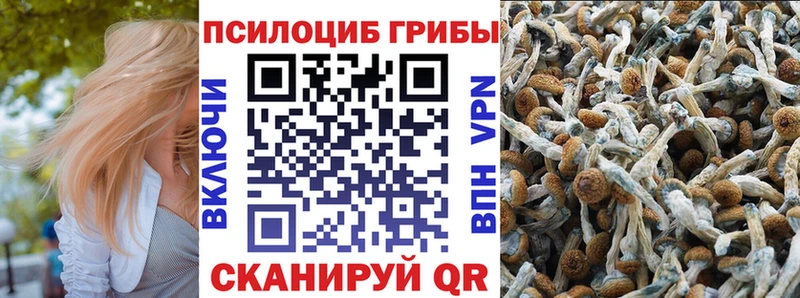 Псилоцибиновые грибы Cubensis Касли